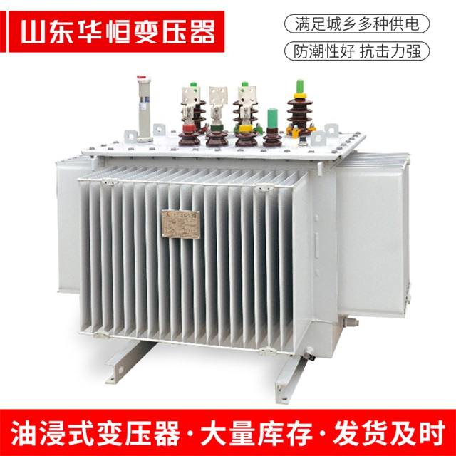 S13-10000/35东乌珠穆沁东乌珠穆沁东乌珠穆沁电力变压器